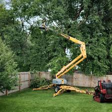 Best Palm Tree Trimming  in Hornsby Bend, TX