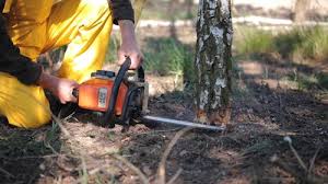 Best Emergency Tree Removal  in Hornsby Bend, TX