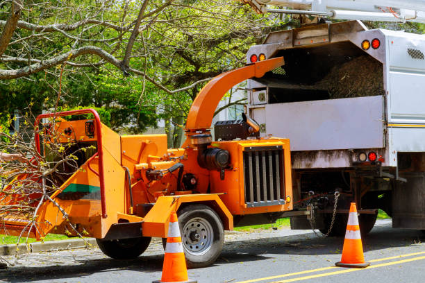 Why Choose Our Tree Removal Services in Hornsby Bend, TX?