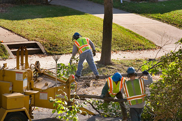 Best Lawn Edging Services  in Hornsby Bend, TX