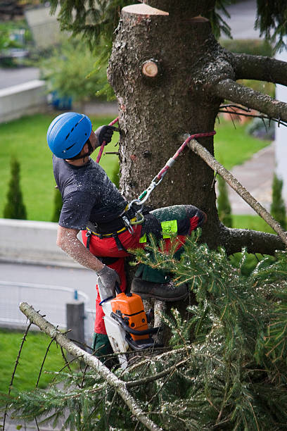 Best Commercial Tree Services  in Hornsby Bend, TX