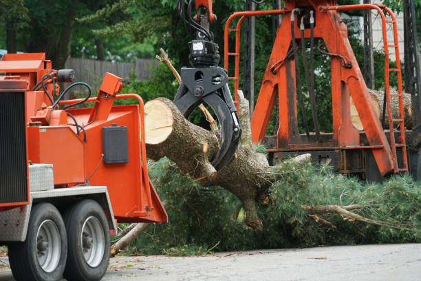 Best Tree Mulching Services  in Hornsby Bend, TX