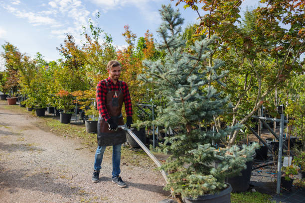 Best Weed Control Services  in Hornsby Bend, TX